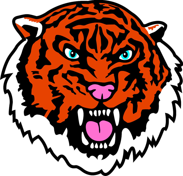 Tiger Head mascot team sports decal. Display team spirit! 
